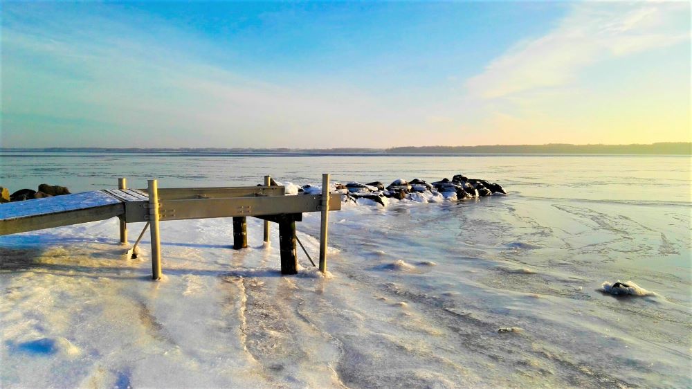 Vintervilleder ved Husodde Strand nedenfor Horsens City Camping