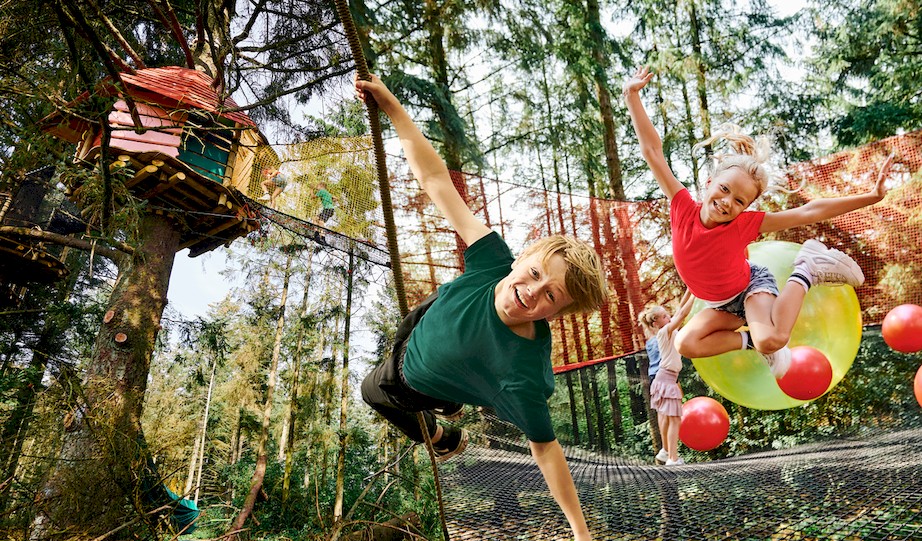 Wow trampolin net mellem træer