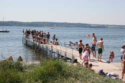 inder im Wasser am Strand Husodde