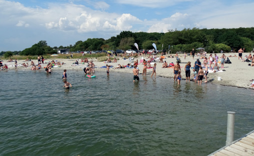 Strandliv på husodde strand i Horsens