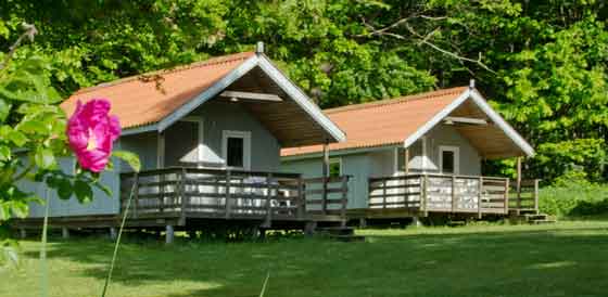 5-person forest cabin of 20m2 with large terrace