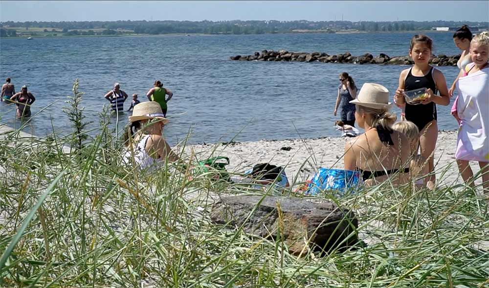 Husodde Strand nur 50 m von der Rezeption des Campingplatzes entfernt