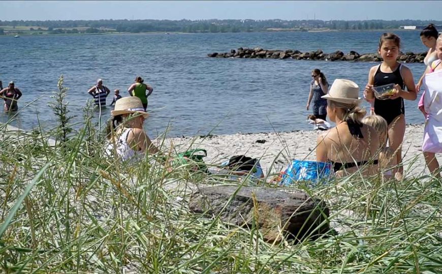 Husodde Strand nur 50 m von der Rezeption des Campingplatzes entfernt