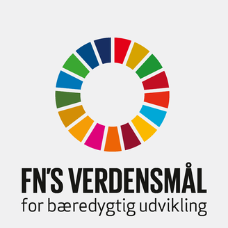 Verdensmål 1 Afskaf fattigdom