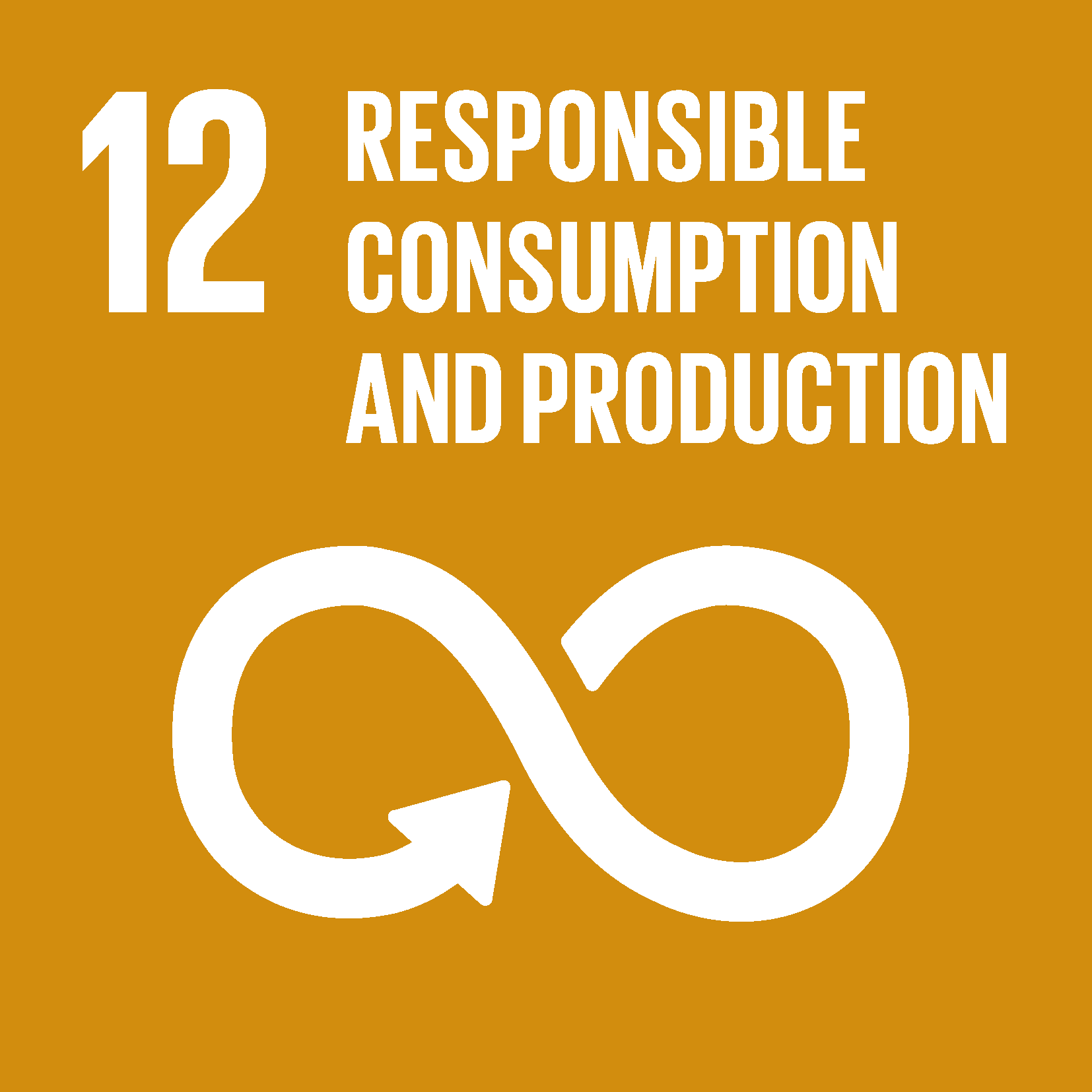 The Global Goal 12 responsible consumption and production