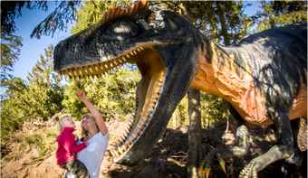 GIVSKUD ZOO Erlebnisurlaub 4 Tage