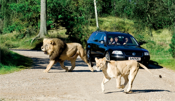 Givskud Zoo oplevelsesferie